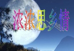 JѹS~͒D