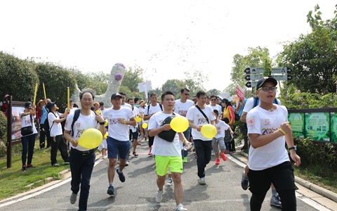 yc2018e_