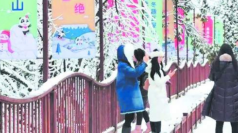 2020MQޱѹ@