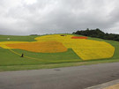 W020131015548363673718_å.jpg