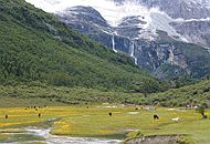 MAIN201809260808000506939628480_å.jpg