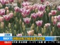 j襬kФѶ}@