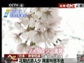 饻ڱ`4뤤Rte