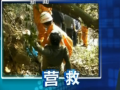 ow礣VYV 4ȲpeI