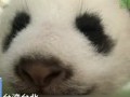 W哥]hK y2007