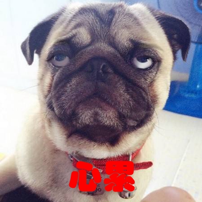 W娥x_Lr桲 اnLaeaÓr