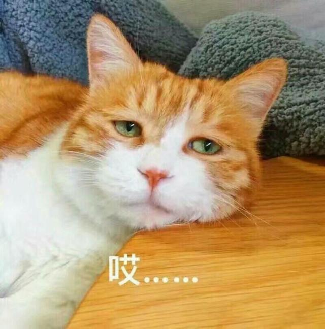 Β|WEw͡LBͲ޽LΡIͽ|ɐ