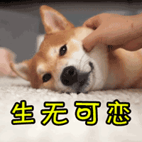 WMKޡLȿIL۫뤤{ n}NL롲ġoթ