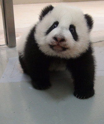 哥]}}Lnť֯YFw`o