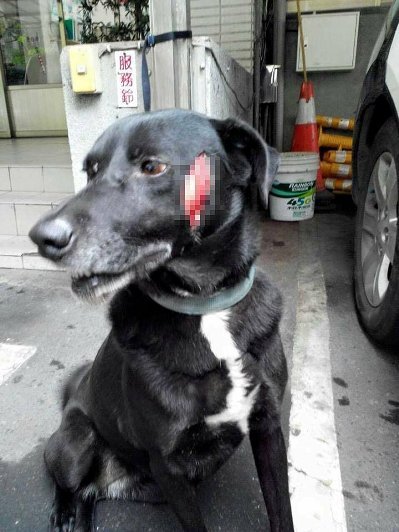 Iͥ_@NN͒źݬ饬[weʐ