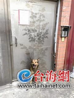 Fh婾^hːޔuU()