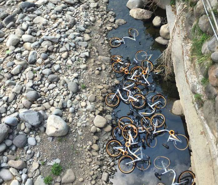 WxooBikejcq pԶioĭ꨽wV