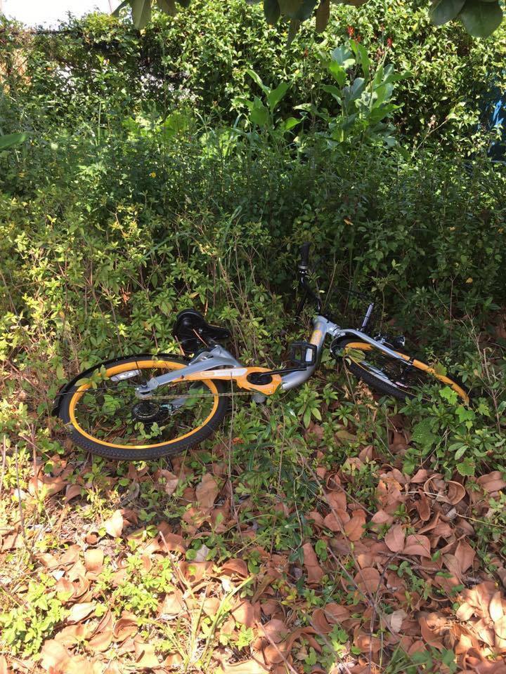 WxooBikejcq pԶioĭ꨽wV