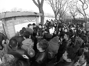 y{öQZPR} 70g y{öQZPR} 70g