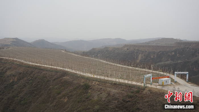 Zw^^o[ħﰨhՕͺAܭSZ <a target='_blank' href='http://big5.gwytb.gov.cn/gate/big5/www.chinanews.com/' ><p  align=