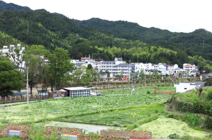 yKǒ