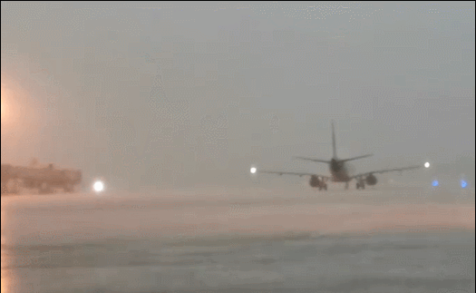 711ޥ۲ZDpBJȵLu~ALTࣤesI