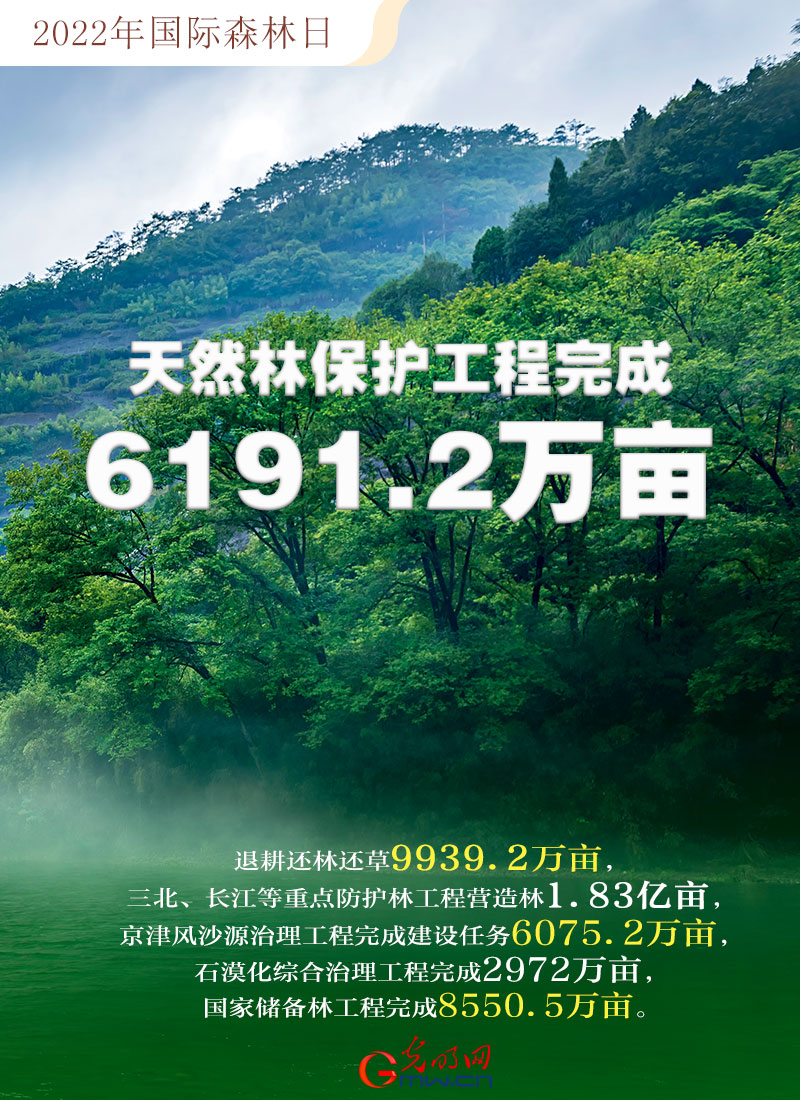 GpH2022äҧp˕hWpYä