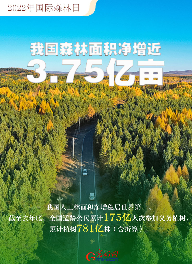 GpH2022äҧp˕hWpYä