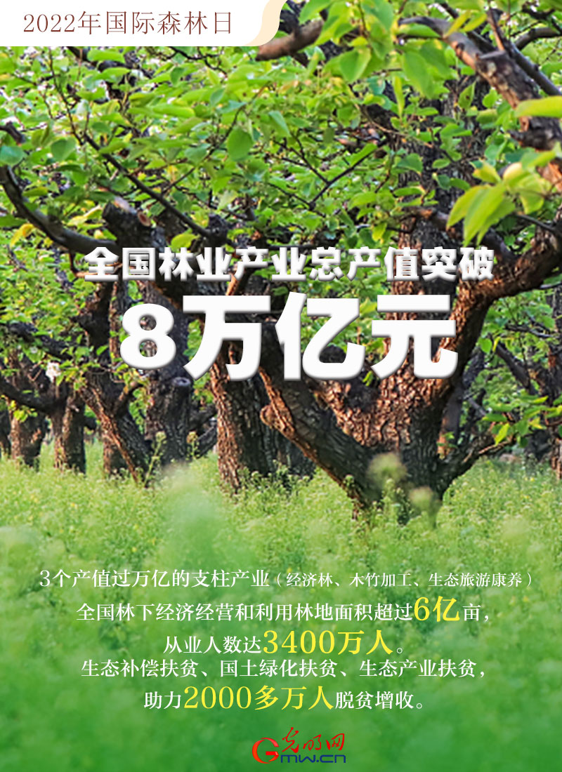 GpH2022äҧp˕hWpYä