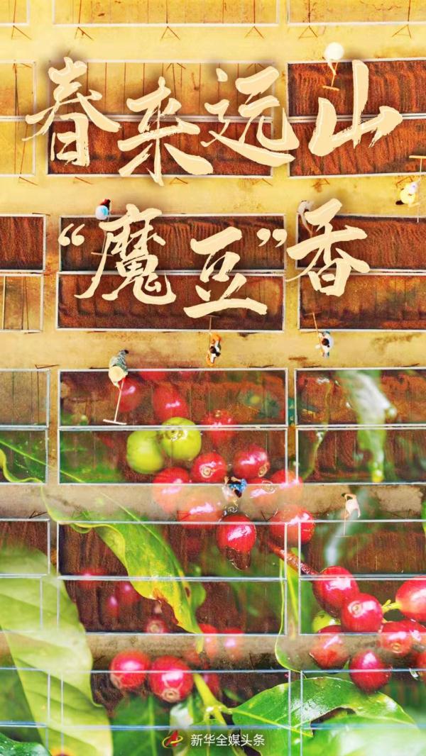 oUìfެvǫҒY