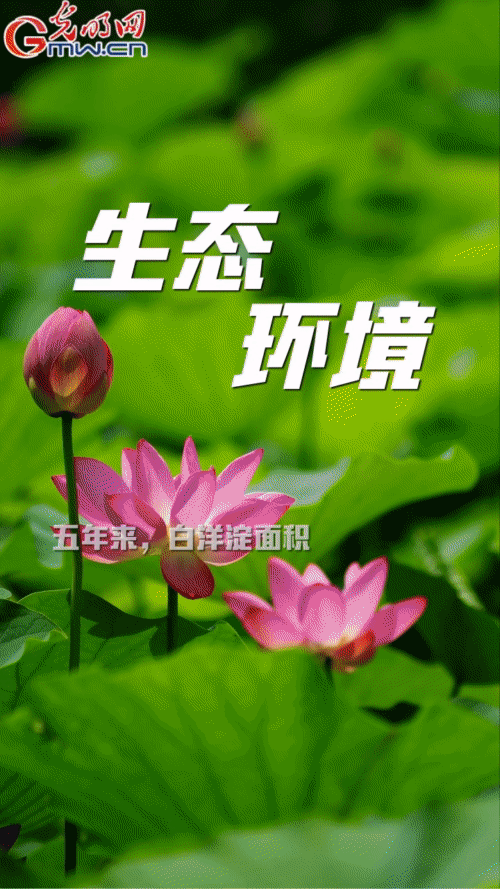 GLwpHʔ^s[䤭ebēֵ] nn