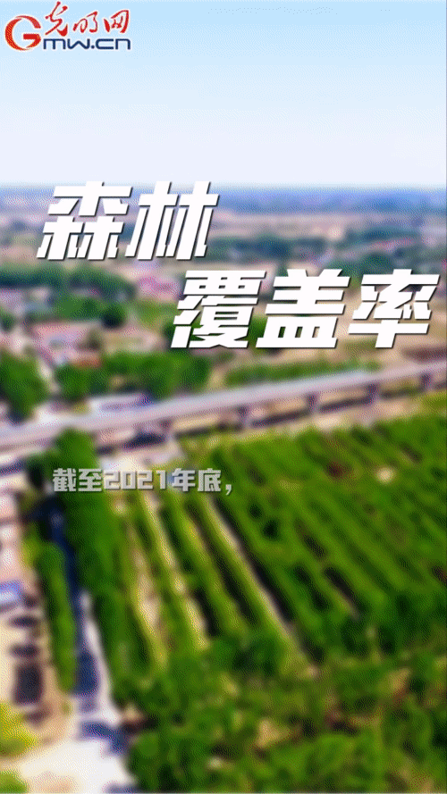 GLwpHʔ^s[䤭ebēֵ] nn