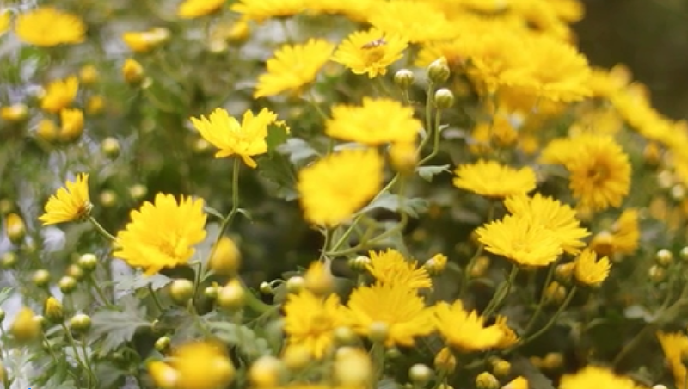 GIФäёHҨYuuޔɵzސ