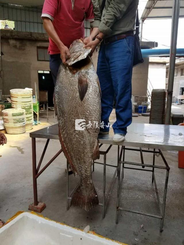 oHՒ}110W()