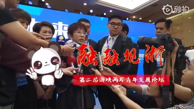 前國民黨主席洪秀柱：未來屬于青年，兩岸青年必須來往圖片