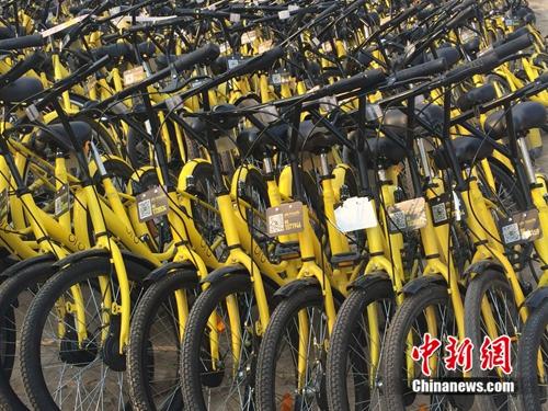 在共享單車維修點，很多共享單車二維碼被涂損。<a target='_blank' href='http://big5.gwytb.gov.cn/gate/big5/www.chinanews.com/' _fcksavedurl='http://big5.gwytb.gov.cn/gate/big5/www.chinanews.com/' ></table><p  align=