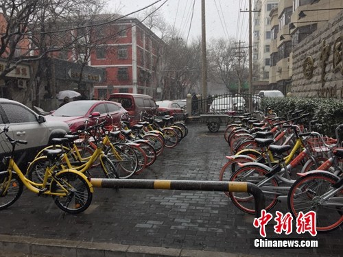 風雪中的共享單車。<a target='_blank' href='http://big5.gwytb.gov.cn/gate/big5/www.chinanews.com/' _fcksavedurl='http://big5.gwytb.gov.cn/gate/big5/www.chinanews.com/' ></table><p  align=