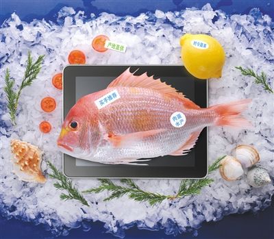 新的《消費者權益保護法》里有規定，網購食品7天內可以無理由退貨。