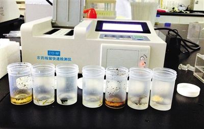 5種茶葉農殘均未超標 專家:第一杯茶最好"洗茶" 5種茶葉農殘均未超標 專家:第一杯茶最好"洗茶"