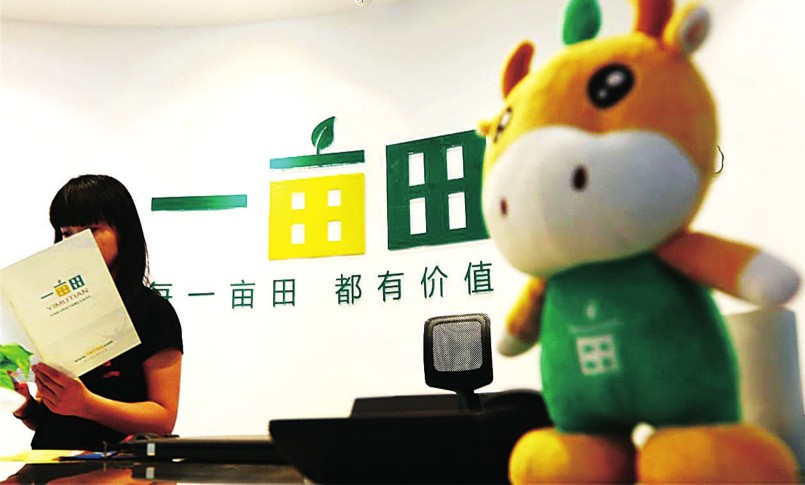 不接地氣 “一畝田”兵敗“互聯網+” 不接地氣 “一畝田”兵敗“互聯網+”