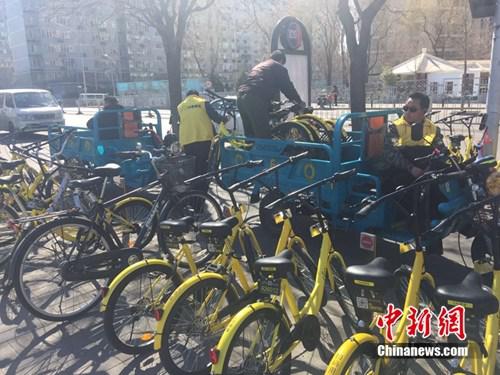 某家共享單車企業運維人員正將故障車放進三輪車內，集中收回。中新網 吳濤 攝