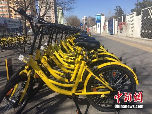 北京朝陽公園附近，共享單車投放數量驚人。中新網 吳濤 攝