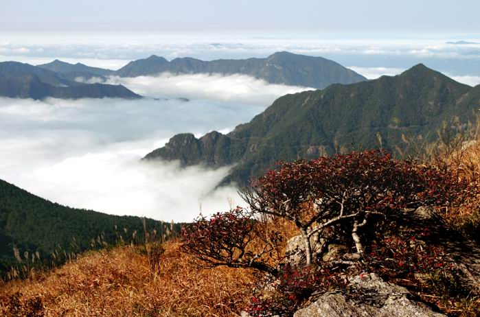 上海周邊5大隱秘度假地