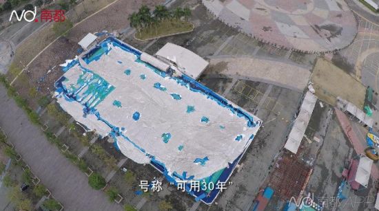 圖片來源網絡
