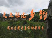 一幢樓一座城