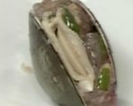 蛤蜊燒麥