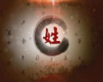 姓壇聖夢—閩臺姓氏源流 第12集《鴻鵠之志——陳姓》中