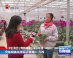 [貴州新聞聯播]遵義“臺灣村”：打造現代觀光農業園