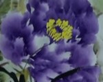 《收藏·中國》國色天香