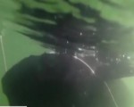 美軍研發“機械間諜魚”可避開聲吶