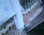 錯把油門當剎車 小車衝上人行道