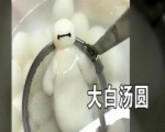 “大白”走紅網絡 成新一代“萌神”