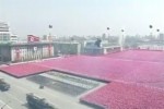 朝鮮稱逮捕兩名韓國間諜