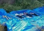 廣東汕頭 一小孩落水家人施救 7人溺亡