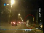 臺北：馬匹大路逆向狂奔車輛驚閃